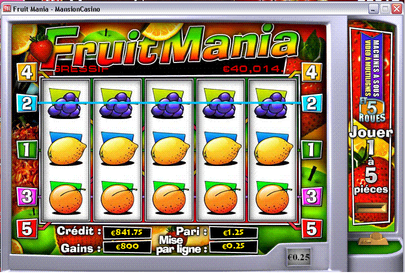 800 fruit mania